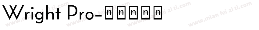 Wright Pro字体转换